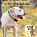 QSKUDP Citronella Bark Collar [NO Spray Refill] Spray Dog Training Collar, Safer Citronella Dog Bark Collars, Humane Spray Bark for L/M/S Dogs IP65 Waterproof Dog Spray Bark Collar